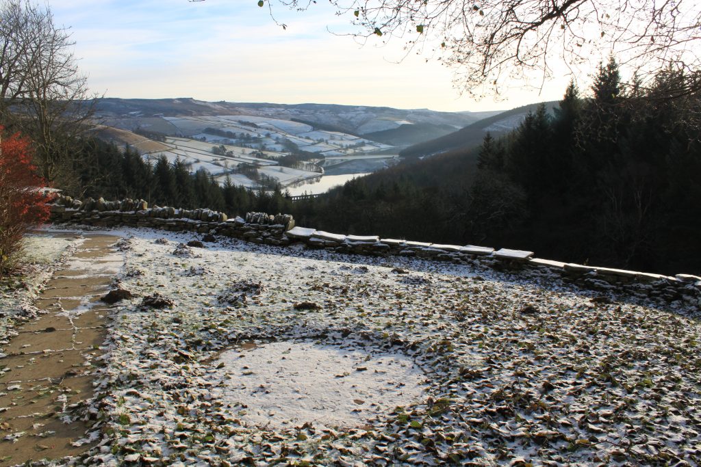A wintery hillside scene